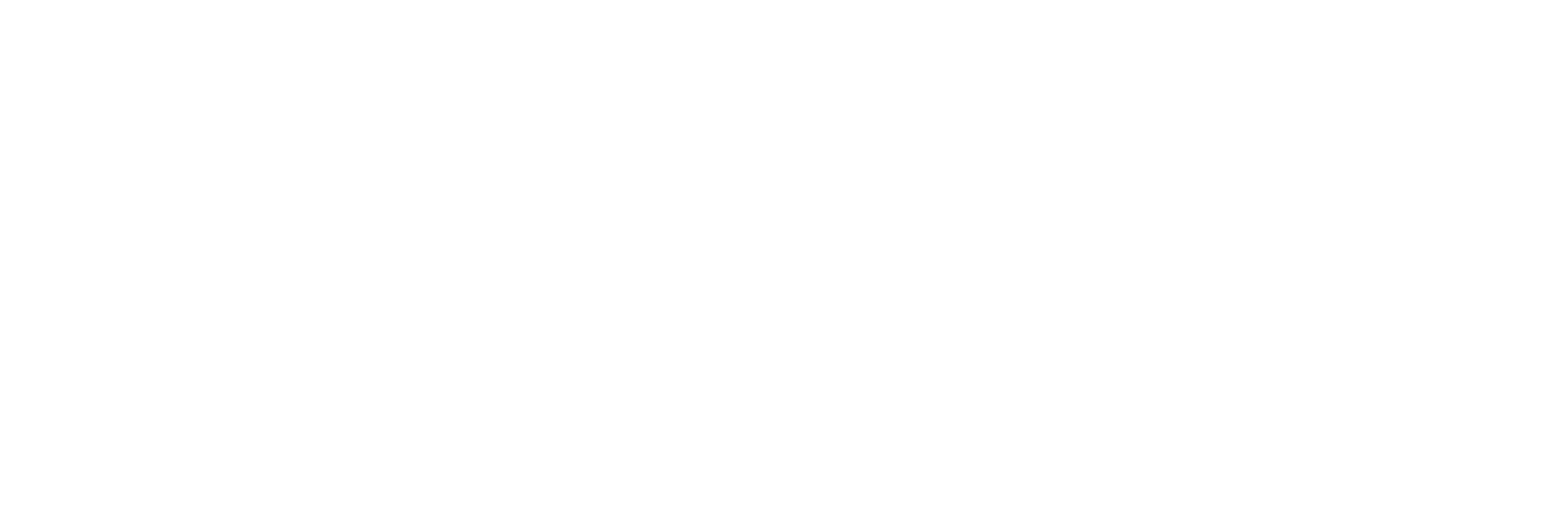 Логотип компании ТЕХНОЛИТА